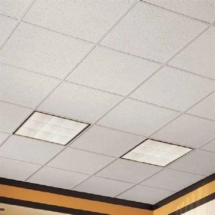 Interior ceiling work